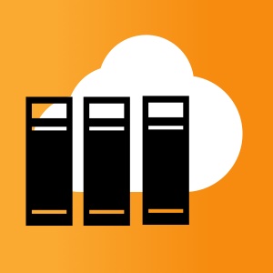 Hosted business application servers